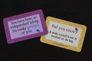 Review: Lunch Box Cards to Encourage Positive Thinking - Moments A Day